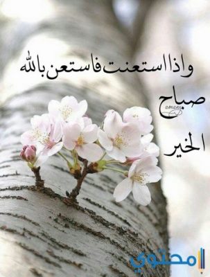 رسالة صباح الخير - اجمل الرسائل الصباحية 2181 9