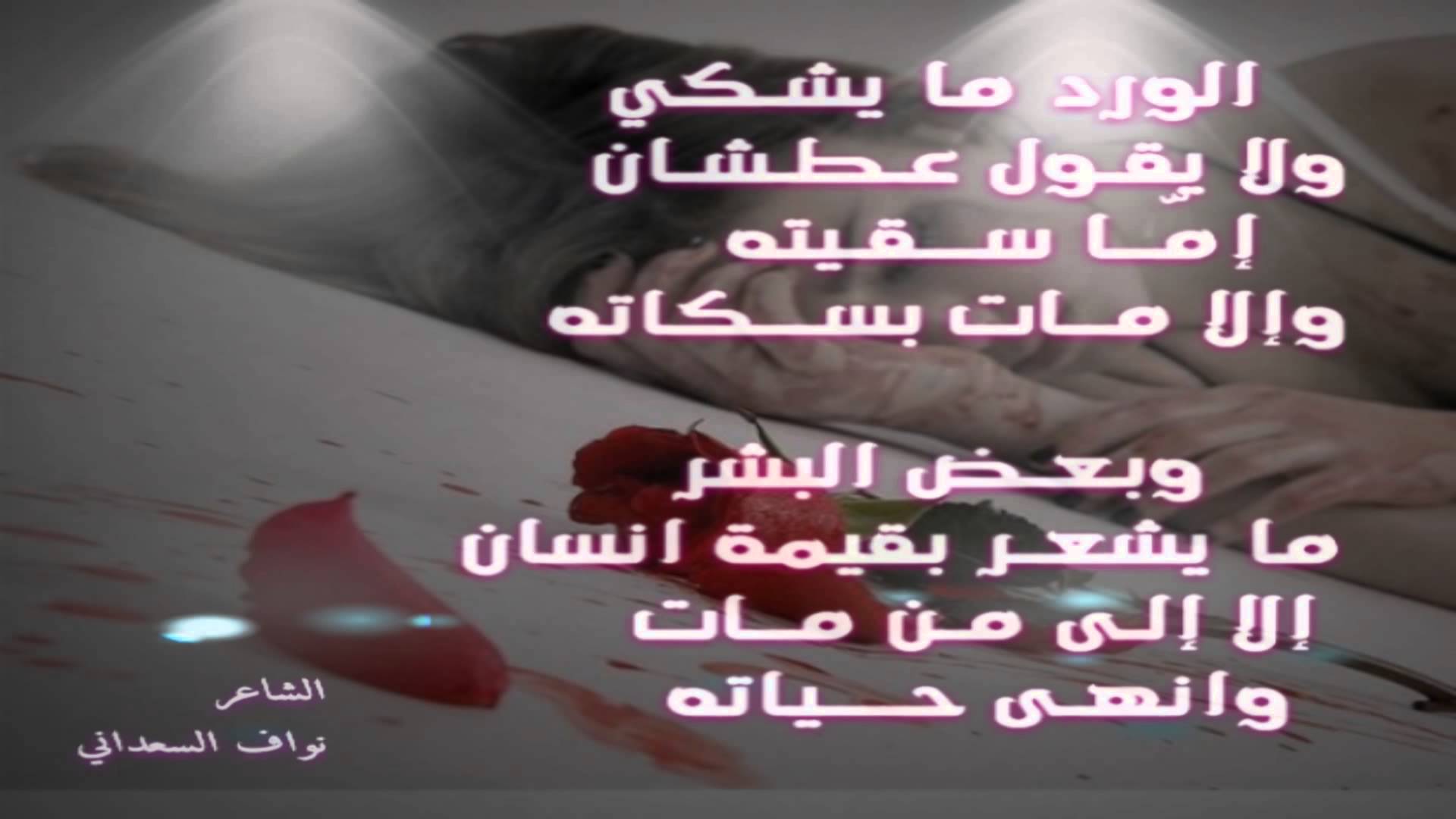 شعر عن الورد - اجمل كلمات عن الورود 918 11