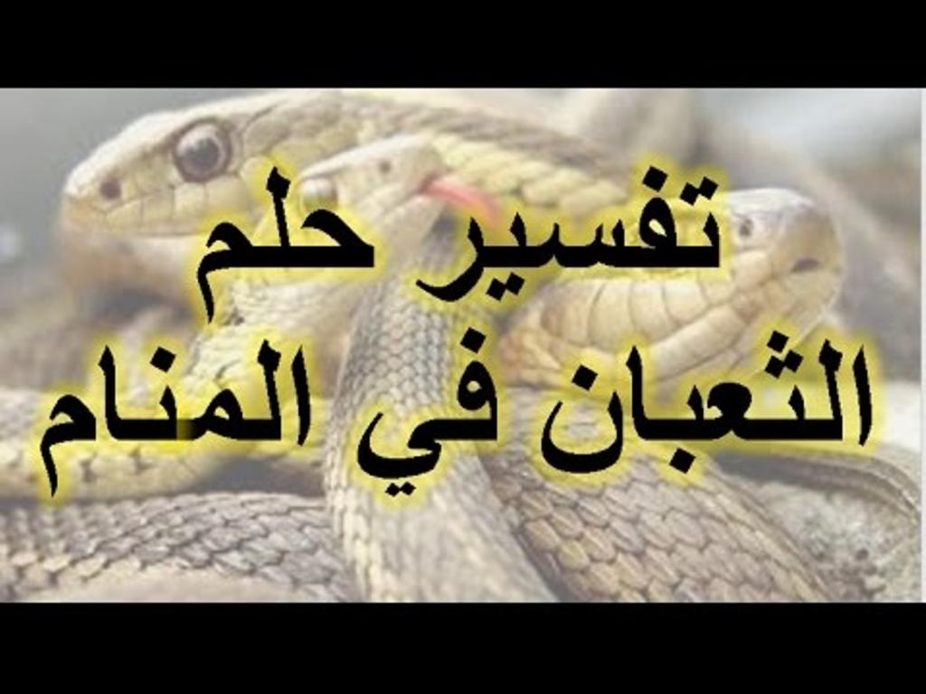 رؤية الافعى في المنام- تفسير حلم الحيه في المنام 2951 2