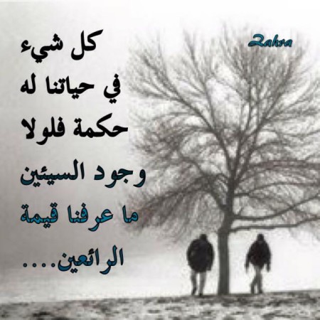 حكم وعبر عن الدنيا - امثال عن الدنيا 3668 4