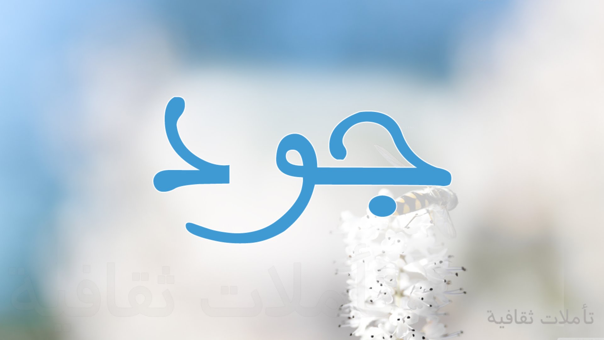 معنى اسم جود - دلالة اسم جود 460