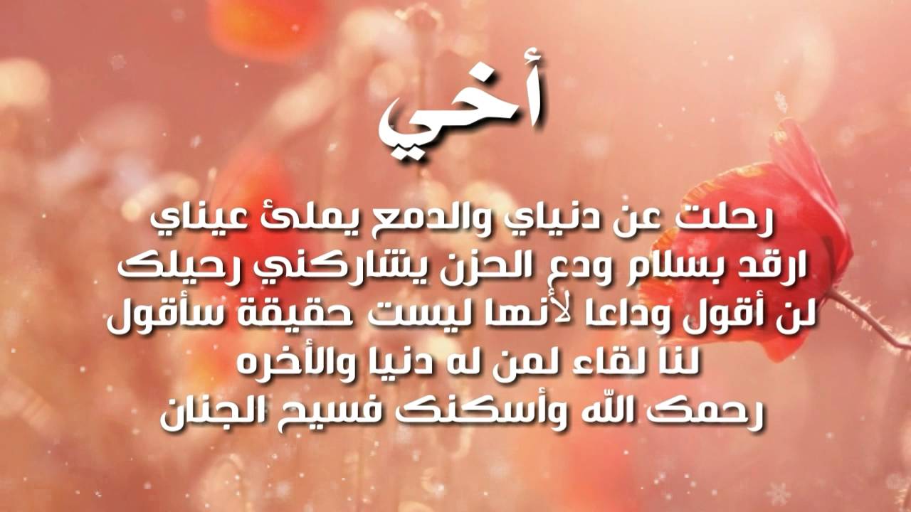 صور عن الاخ - اخي صور 2594 7