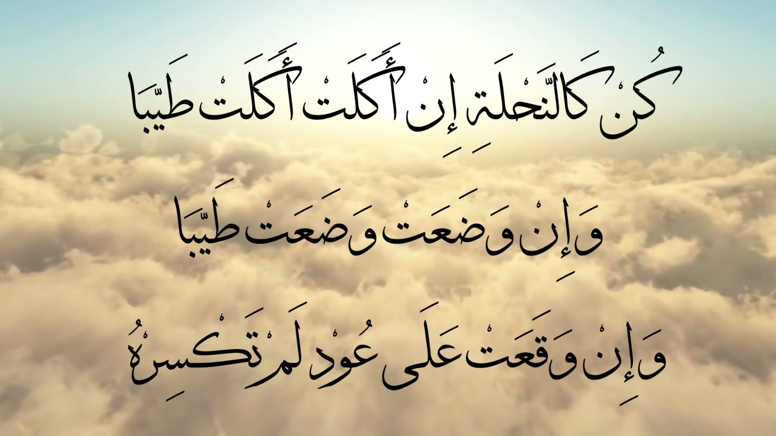 حكم وامثال عن الصبر - اجمل ما قيل عن الصبر 890 3