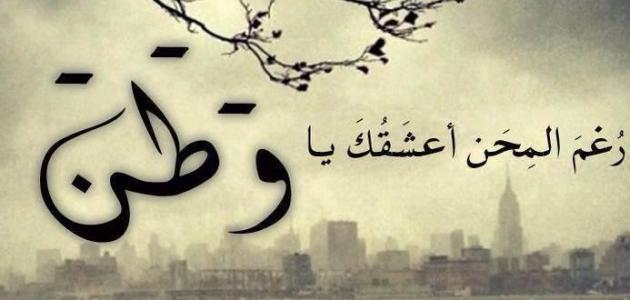 صور وحكم وامثال - حكم وامثال لحياة افضل وفكر متجدد 7538 3