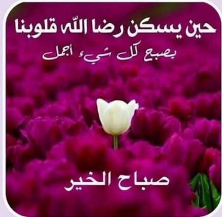 شعر صباح الخير - اروع اشعار الصباح 3639 2