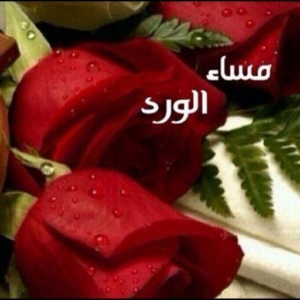 صور مساء الورد - رسائل مسائية للاصدقاء 3893