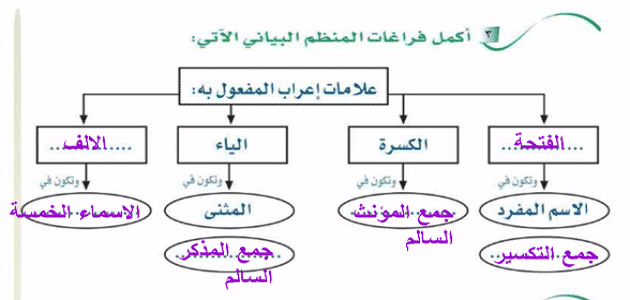 امثلة على اسم المفعول 9296