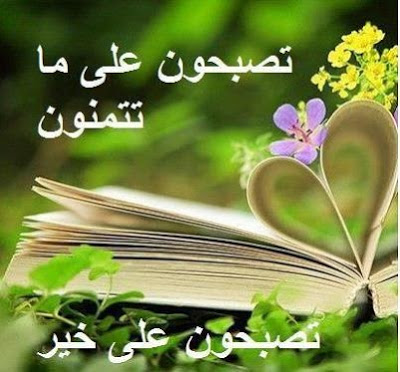 تصبح على خير بالصور - تصبح علي خير مكتوبة علي صور 3696 1