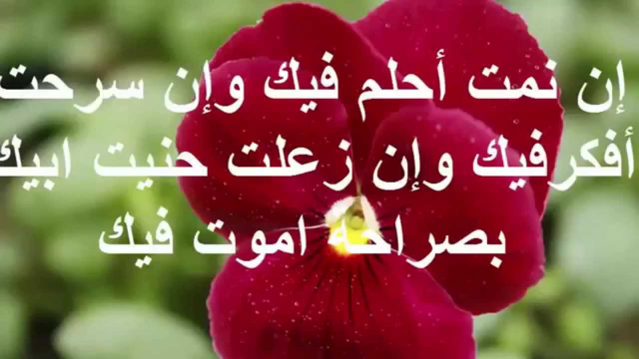 رسائل حب وعشق 99 4