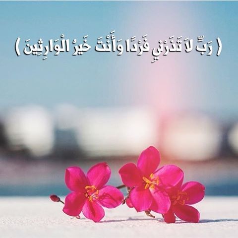 صباح المحبة - اروع واحسن تحيات الصباح بالصور 3392