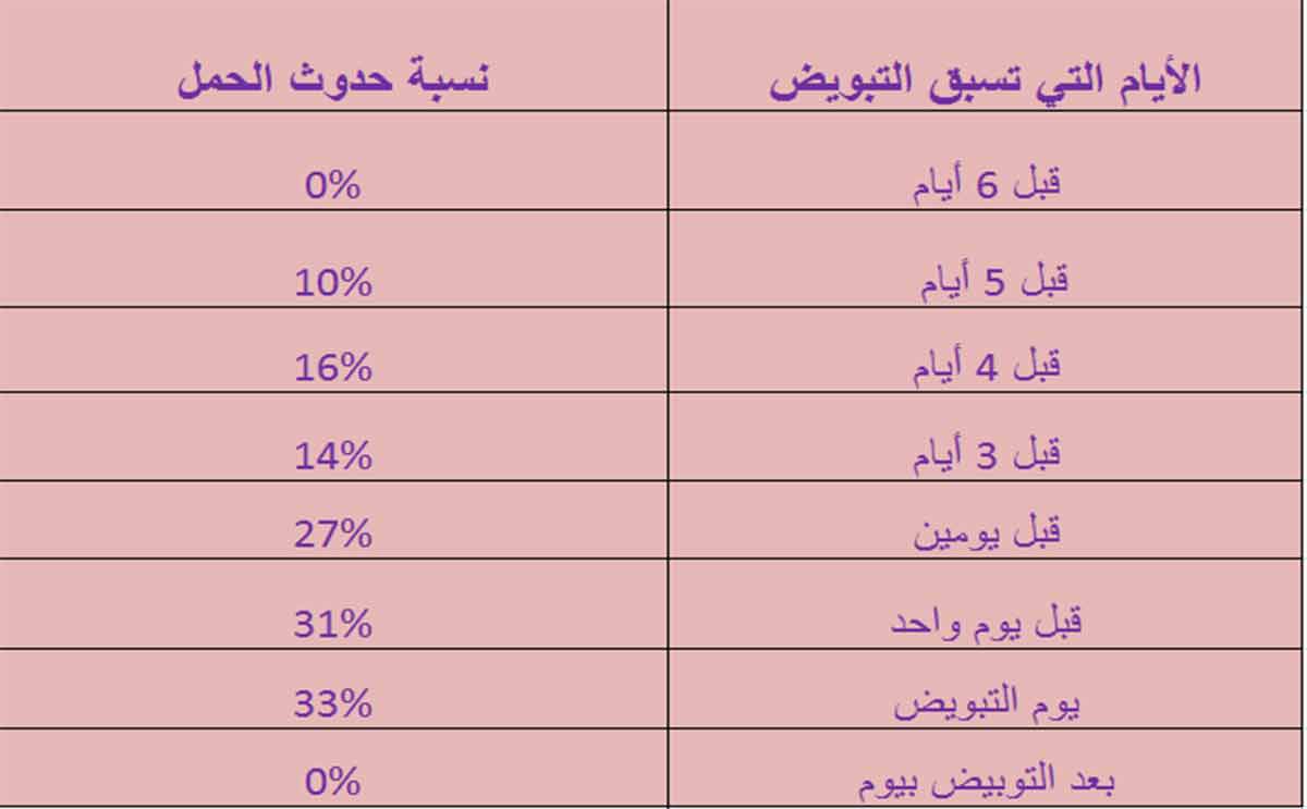 فترة التبويض والحمل 7398 1