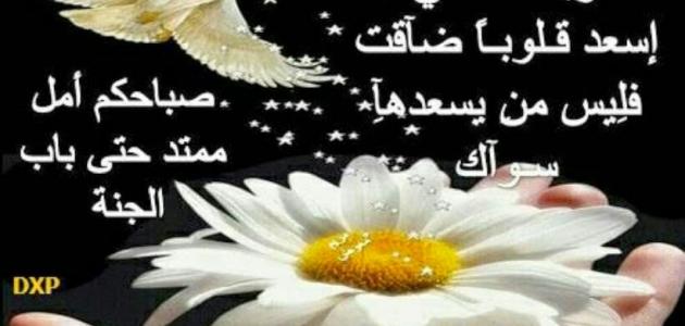 كلمات صباحية - اروع الكلمات الصباحية 2458 7