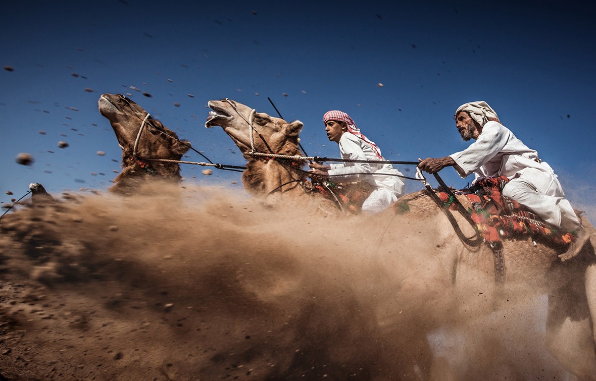 افضل الصور في العالم - اجمل صورة فى العام 1782 1