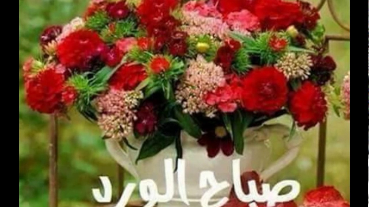 صباح الخير- صور صباح الخير جميلة 1386 2