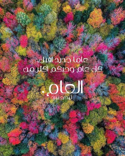 صور راس سنة - احلي الصور والافكار لراس السنة 8726 7