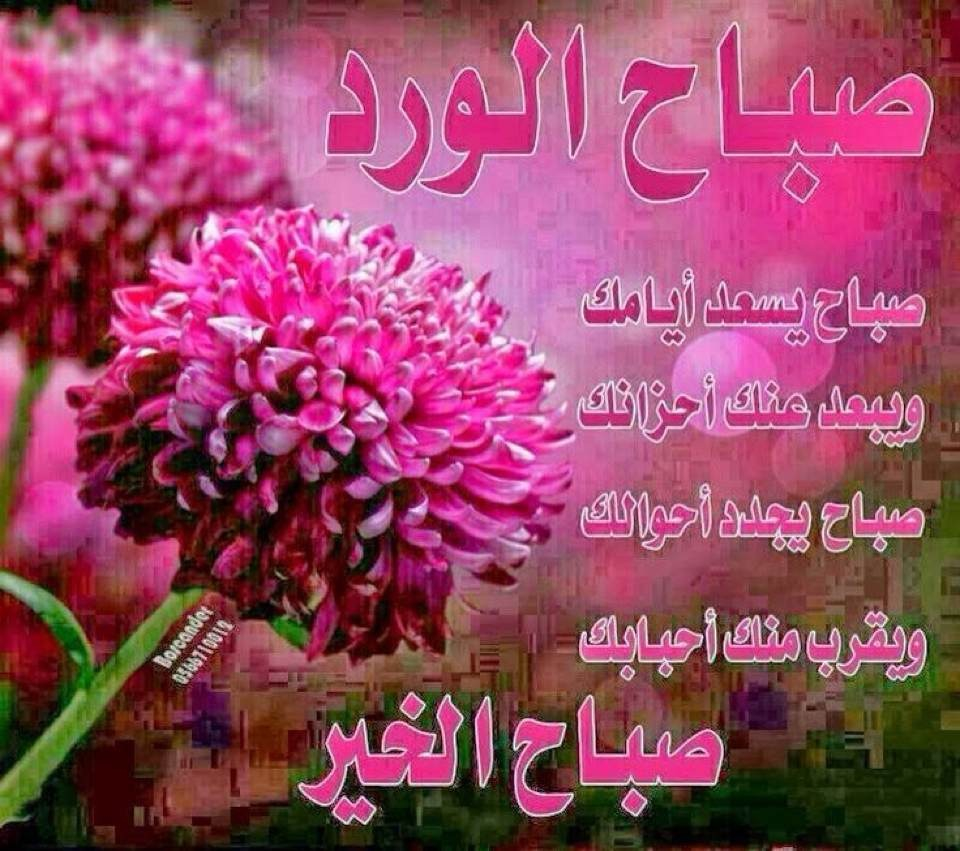 صور صباح - احلي صور الصباح 458 6