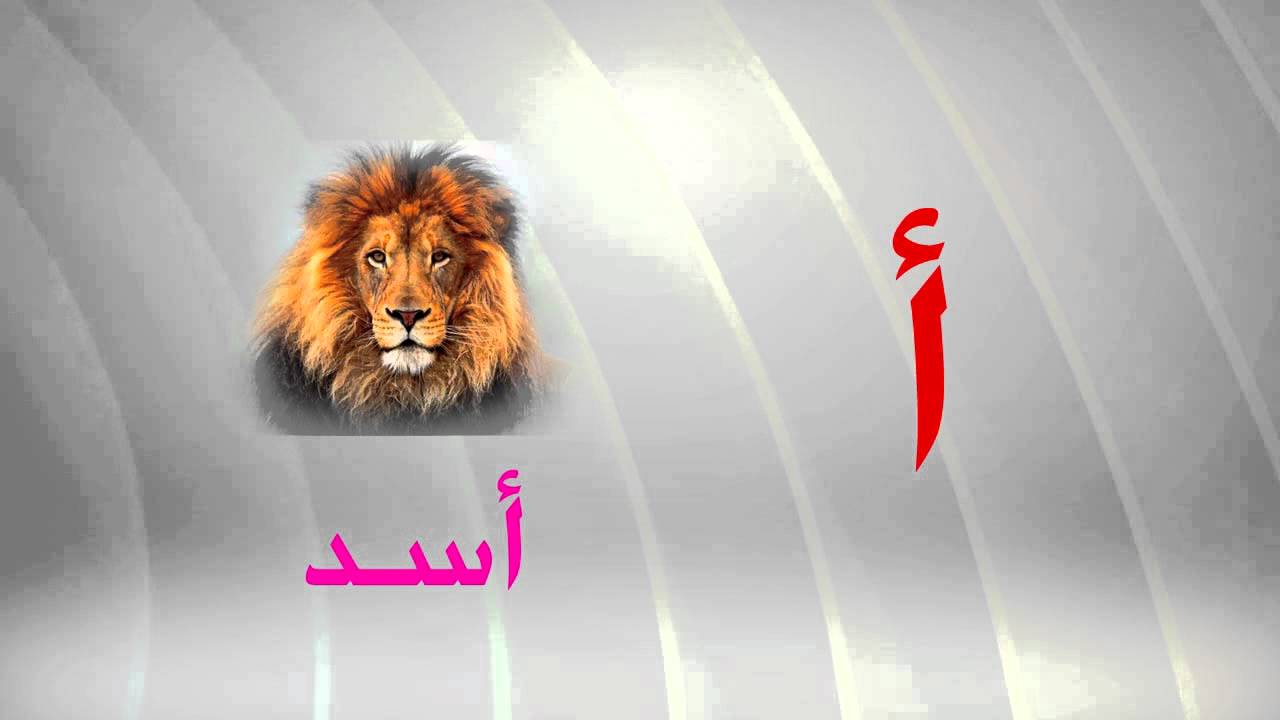 صور حرف ا - حرف الالف مزخرف وبالالوان 1223