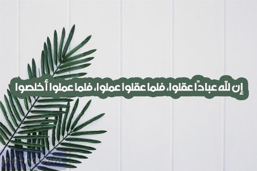 حكمة عن العمل - اقوال ذهبيه عن اهمية العمل 11654 7