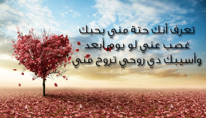 شعر في الحب- اجمل الشعار الرومانسية 1136 1