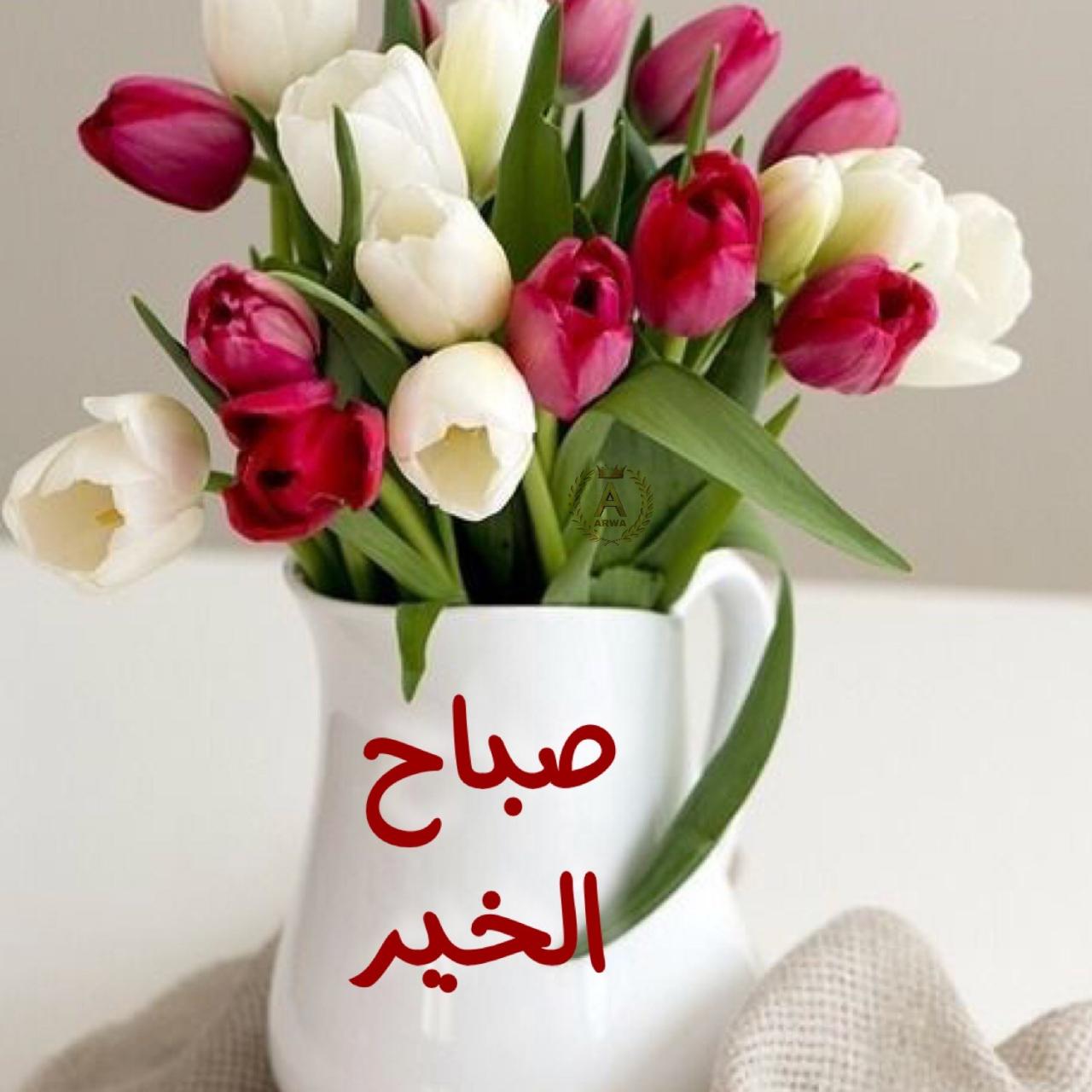 صباح الخير حبيبي 2584 10