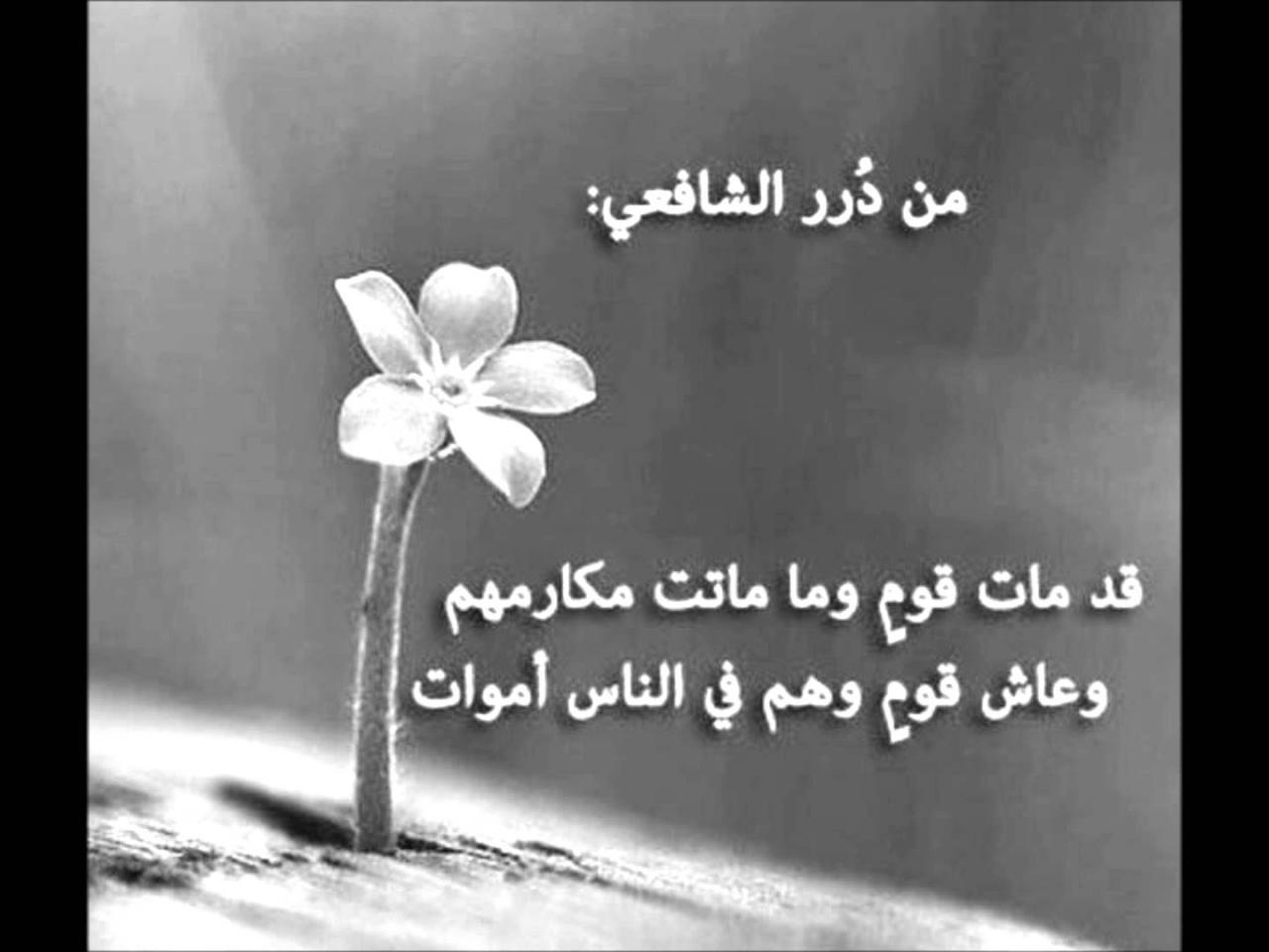 ابيات شعر قصيره حكم