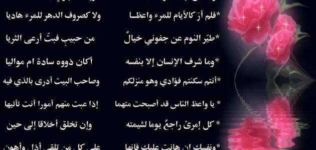 ابيات شعر قويه - اقوي الاشعار التعبيرية 3482 3