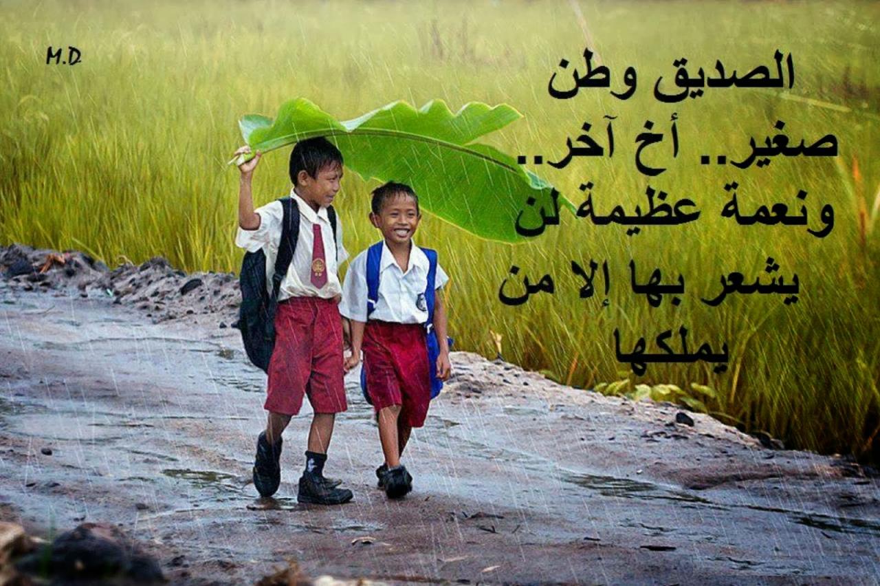 شعر عن الاخوة والصداقة 1179 7