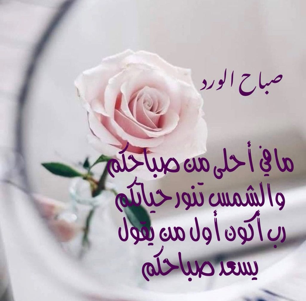 شعر عن الصباح 271 1