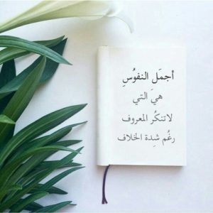 حالات واتس اب حلوه - حالة جميلة للواتساب 3307 6