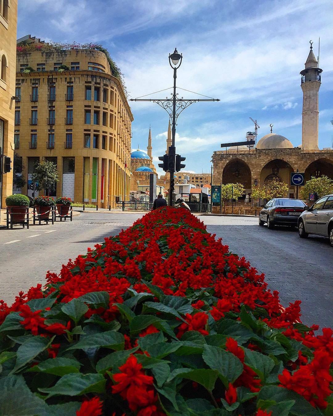 صور رائعة - مجموعة نادرة للصور الرائعة 2648 8