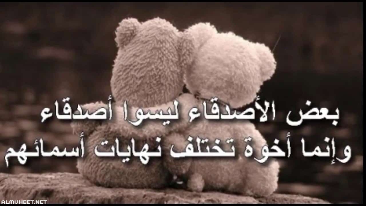 شعر مدح الصديق 2563 8