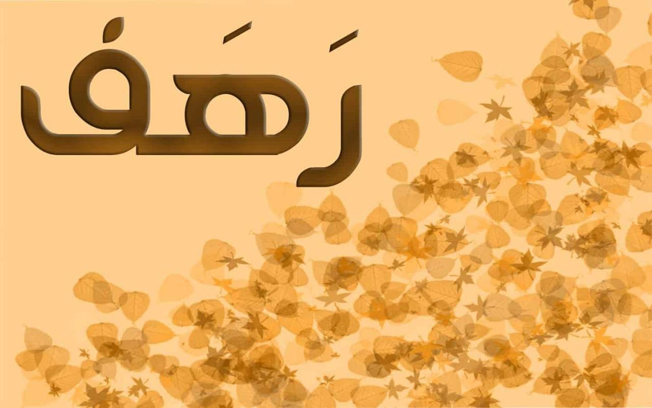 معنى اسم رهف 88