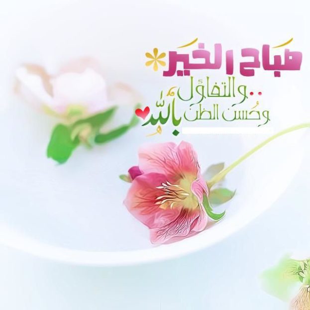 صور صباح العسل - صباح العسل والخيرات 3385 5