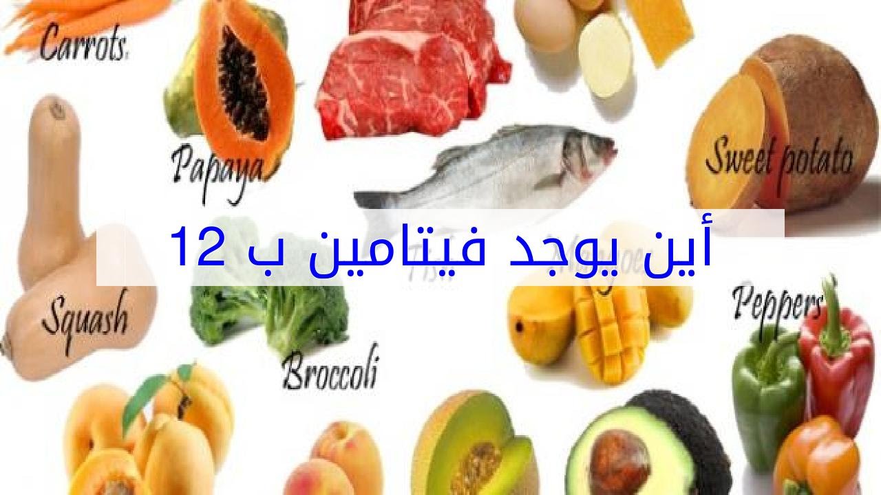 ما هو فيتامين B12- فيتامين B12وفوائده التي لا تحصى 2956 1