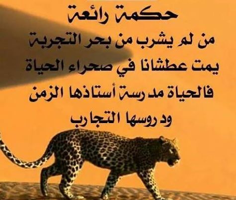 صور حكمة - مواعظ واقوال عظيمة 3689 1