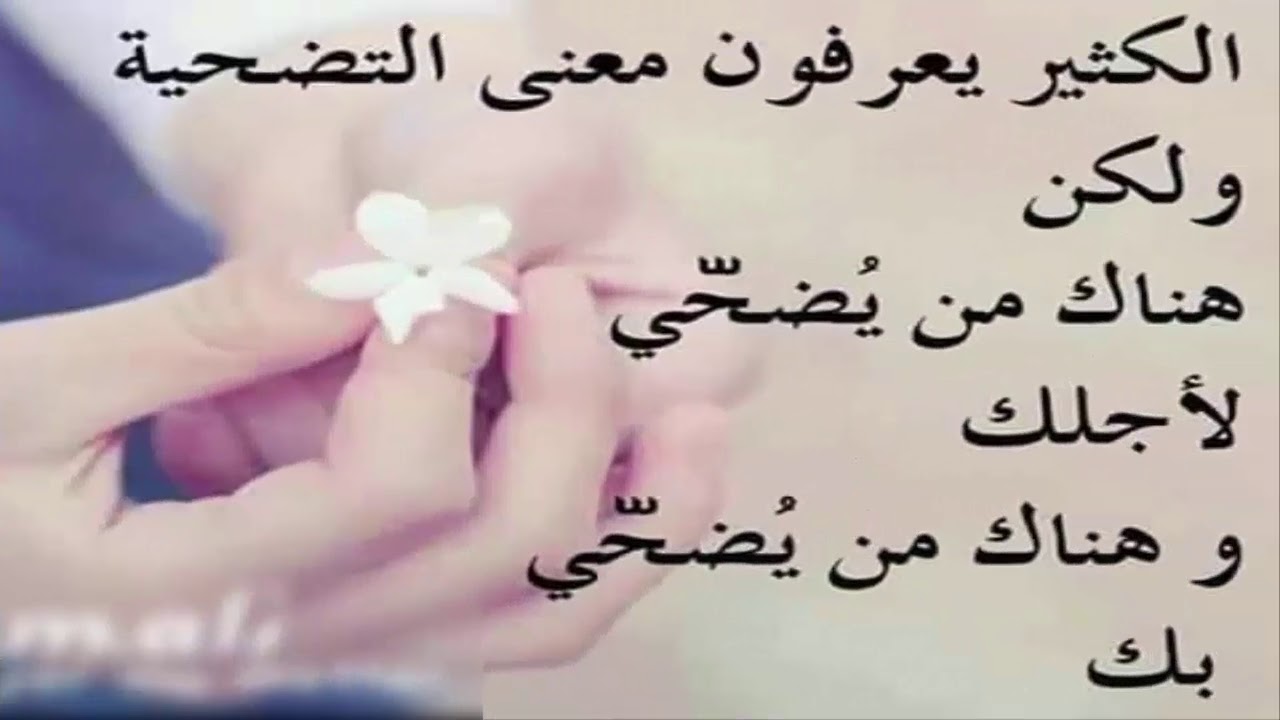 حكم جميلة عن الحياة 343 5