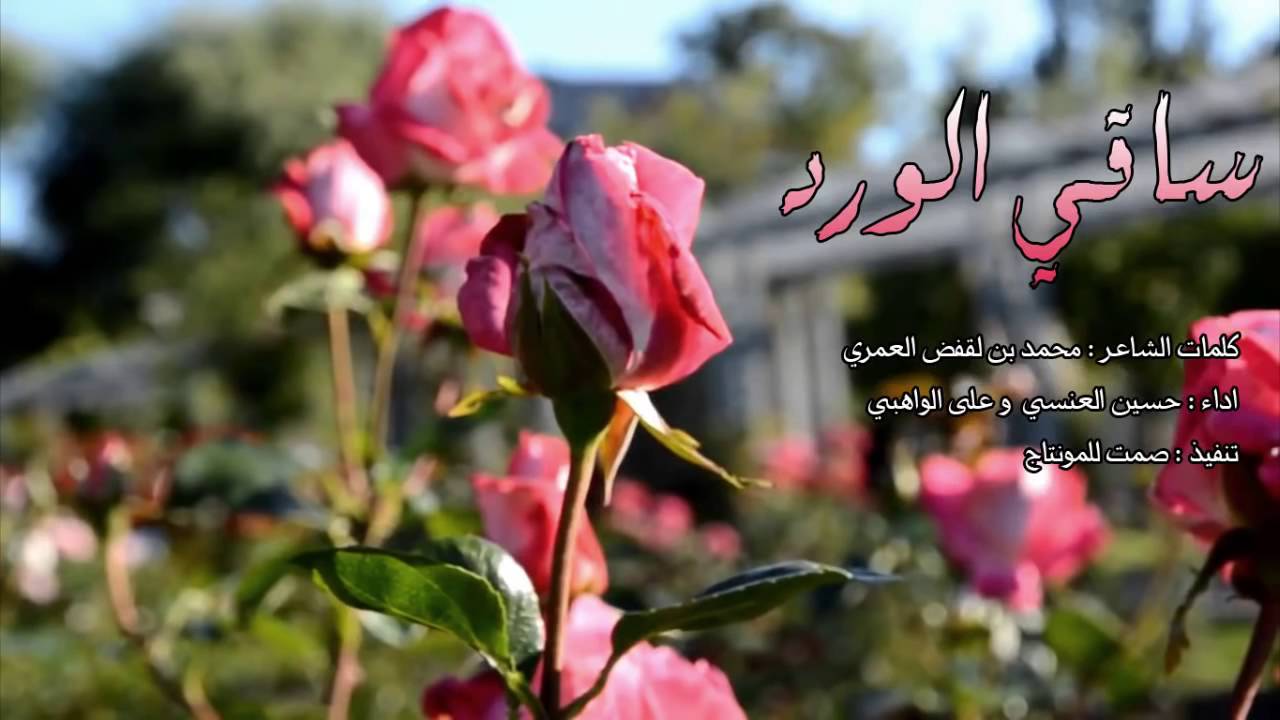 كلمات عن الورد 255 11