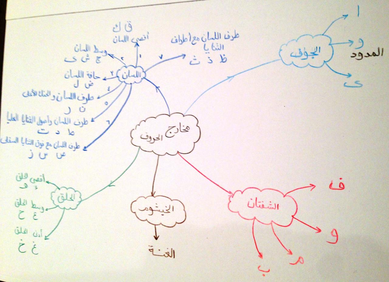 ما يجهله معظم الناس عن الكلام - رسم توضيحي لمخارج الحروف 8293 2