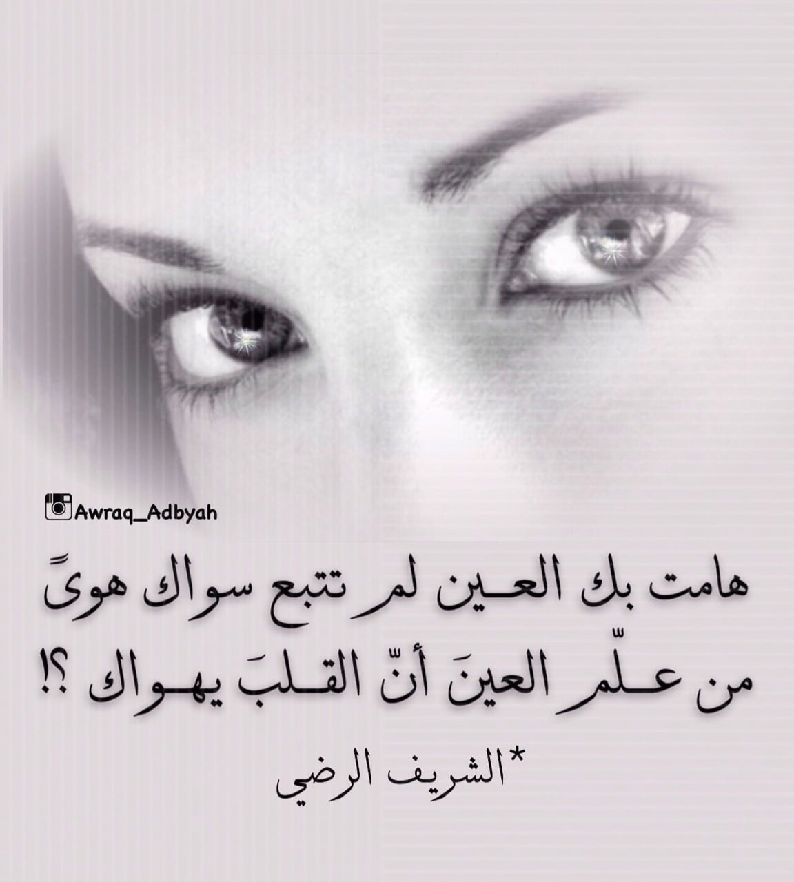 شعر غزل بدوي 253 11