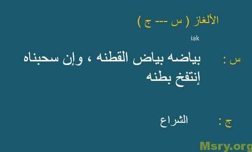 الغاز وحلها للاذكياء فقط بالصور - فوازير صعبه باجابتها الصحيحه 11909 7