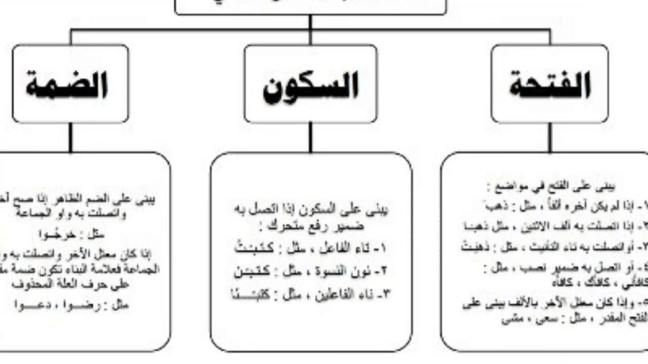 علمي طفلك أساسيات اللغة العربية - علامات اعراب الفاعل 7459 2