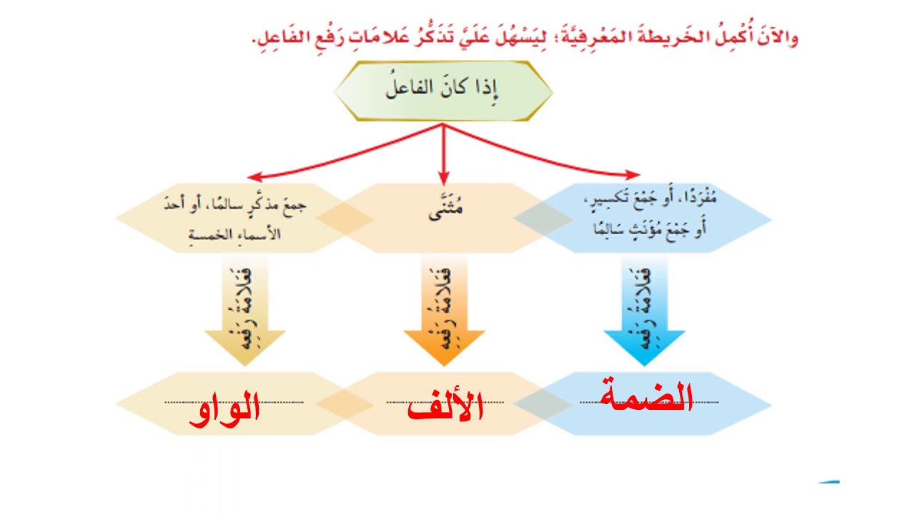 علمي طفلك أساسيات اللغة العربية - علامات اعراب الفاعل 7459 1