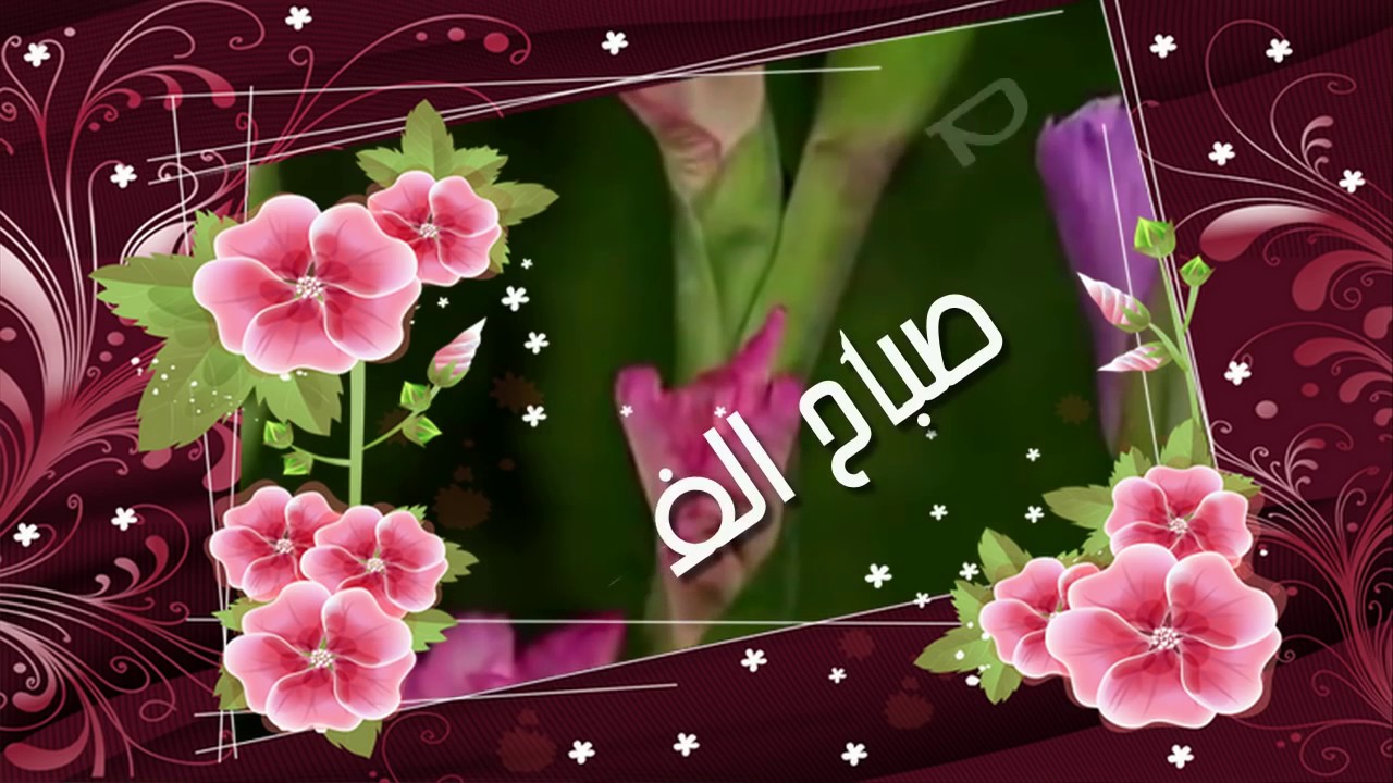 صباح الورد والفل - احلي صور صباح الخير 3774 10