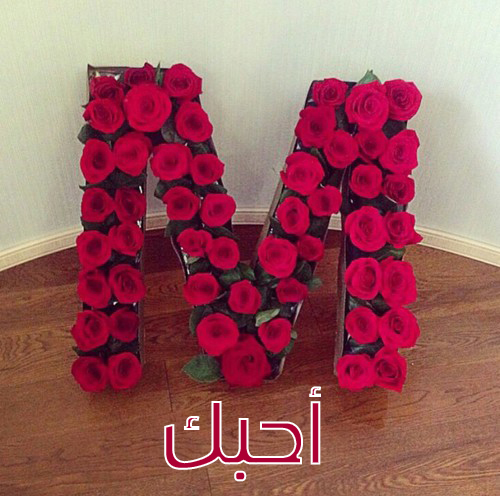 صور عن حرف M - اجدد صور لحرف M 211 15