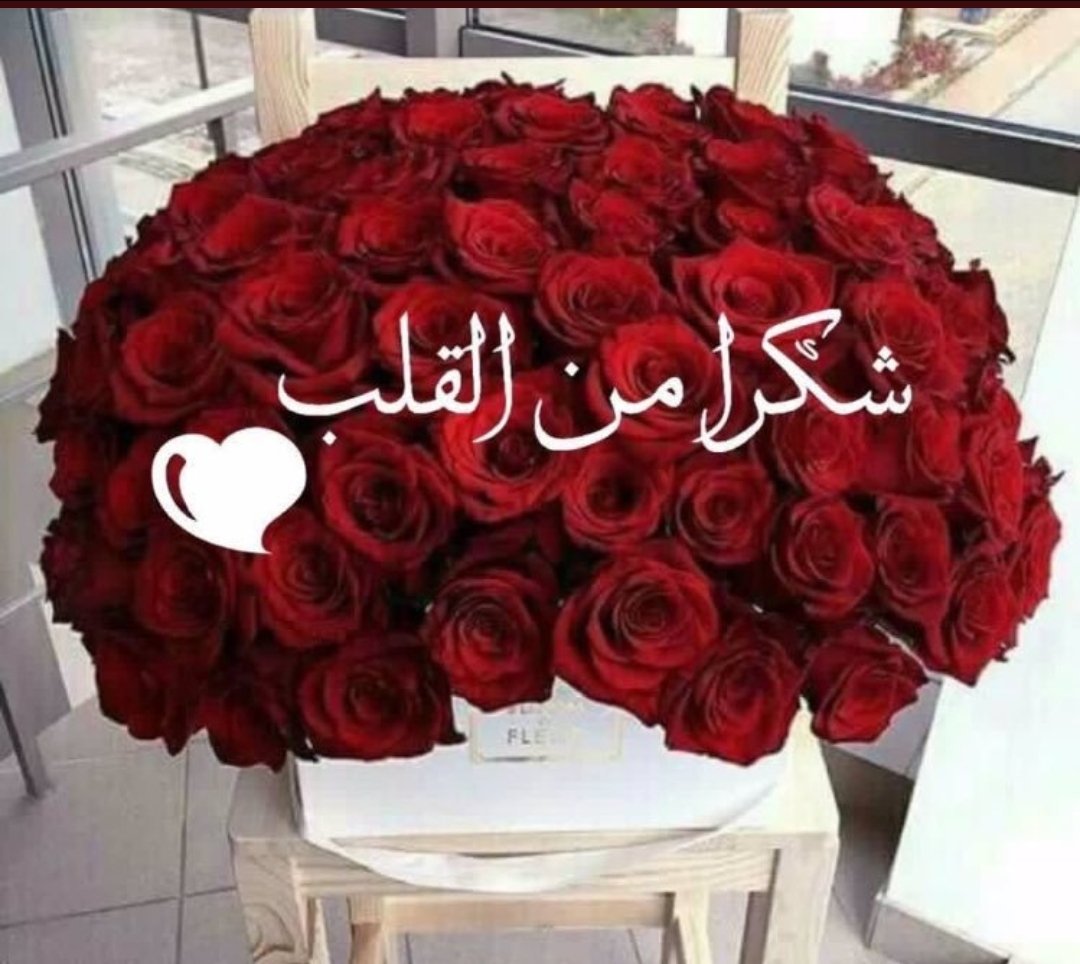 شعر مدح الصديق 2563 2