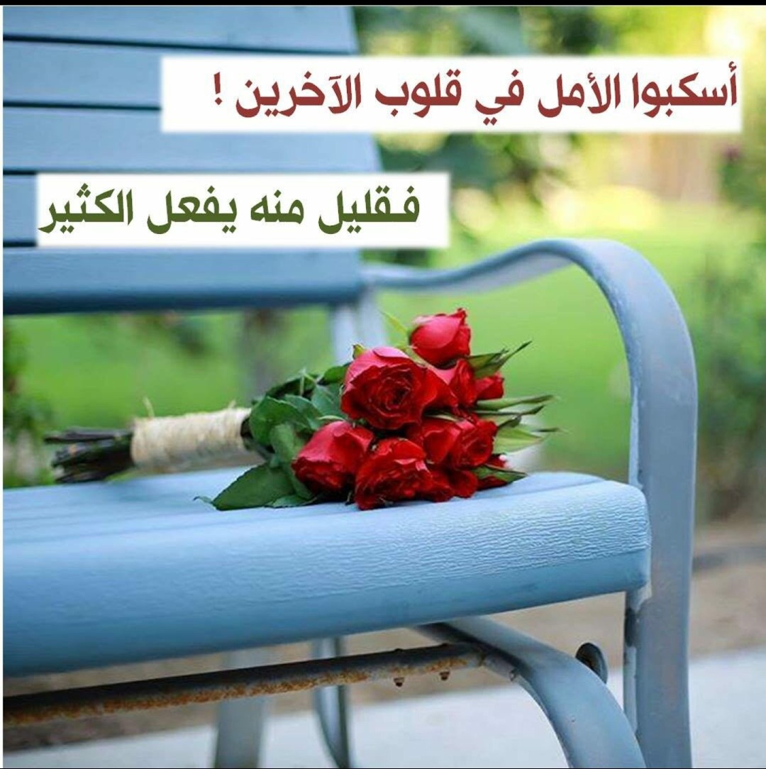 زهور الكلمات 1149 2