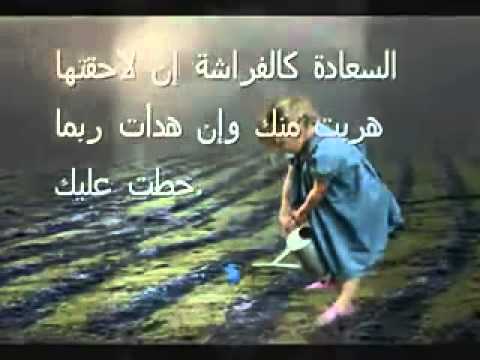 حكم من ذهب - افضل الحكم 2379 1