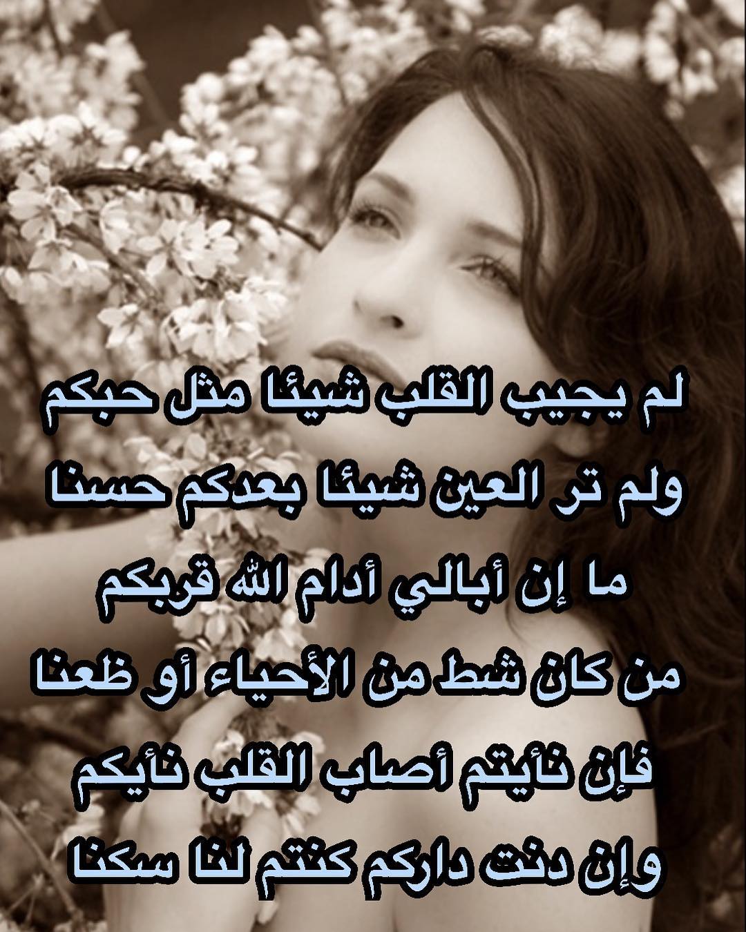 شعر عن الصباح 271 4