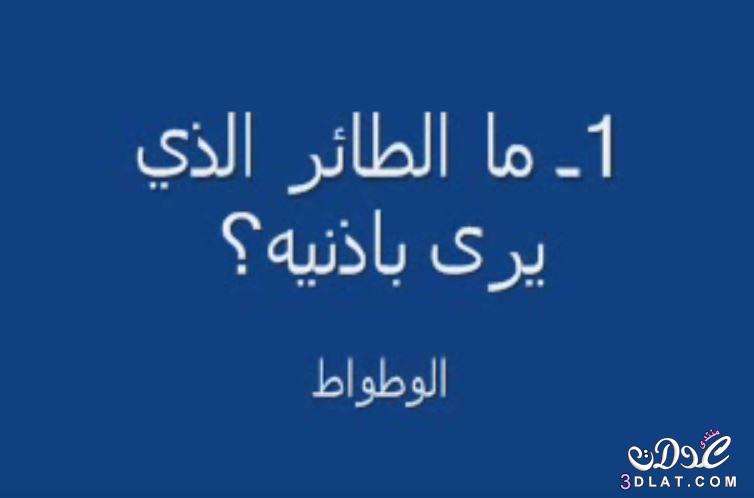 الغاز وحلها للاذكياء فقط بالصور - فوازير صعبه باجابتها الصحيحه 11909 5