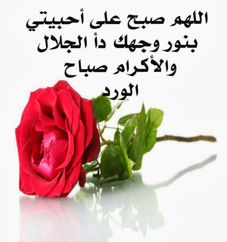 صور صباح خير - صباح برائحة المسك 1473 7